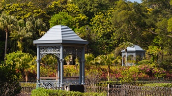 The Victoria Peak Garden covers an area of about 1.8 hectares, roughly divided into three zones based on the topography. The three zones are linked by a wooded, meandering footpath. Following the footpath, visitors can appreciate the beauty of classical gazebos in the Victorian style, manicured and green lawns with blooming flowers and overlook the Victoria Harbour in the lookout pavilion at the end of the stroll. The garden, designed in a traditional English Garden style, makes it a popular location for wedding photography. The nearby Mount Austin Playground is also designed in a western style with an extensive lawn area and contemporary children’s play structures.